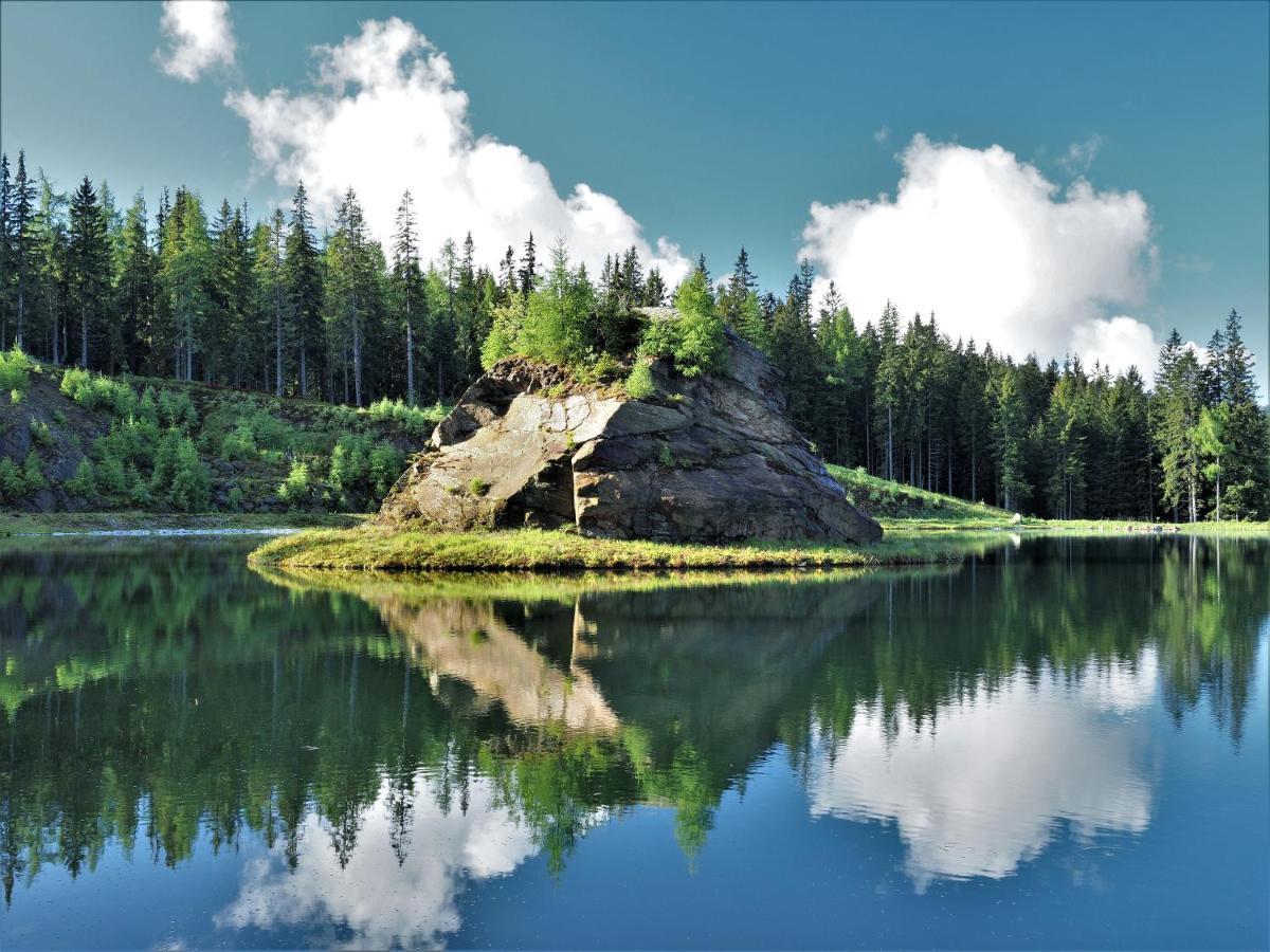 Naturforsthaus Gartenblick Fuer Hunde - Und Naturverbundene Menschen Preitenegg Exterior photo