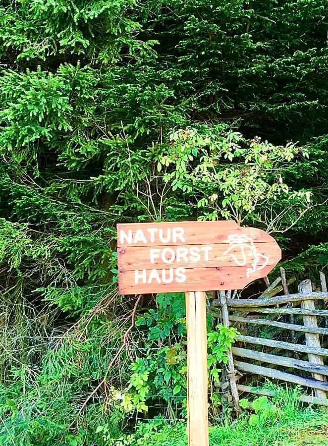 Naturforsthaus Gartenblick Fuer Hunde - Und Naturverbundene Menschen Preitenegg Exterior photo