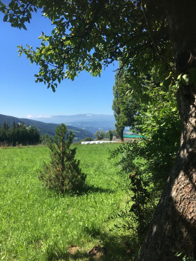 Naturforsthaus Gartenblick Fuer Hunde - Und Naturverbundene Menschen Preitenegg Exterior photo