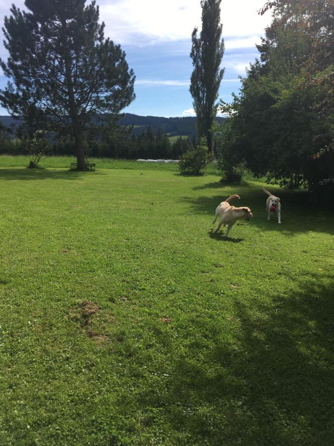 Naturforsthaus Gartenblick Fuer Hunde - Und Naturverbundene Menschen Preitenegg Exterior photo
