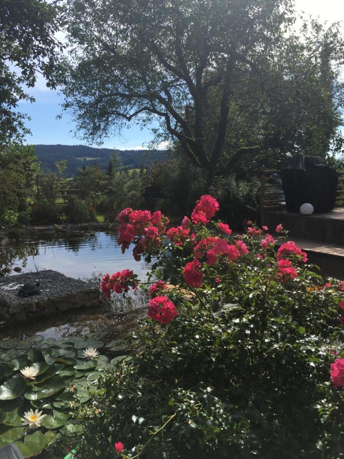 Naturforsthaus Gartenblick Fuer Hunde - Und Naturverbundene Menschen Preitenegg Exterior photo